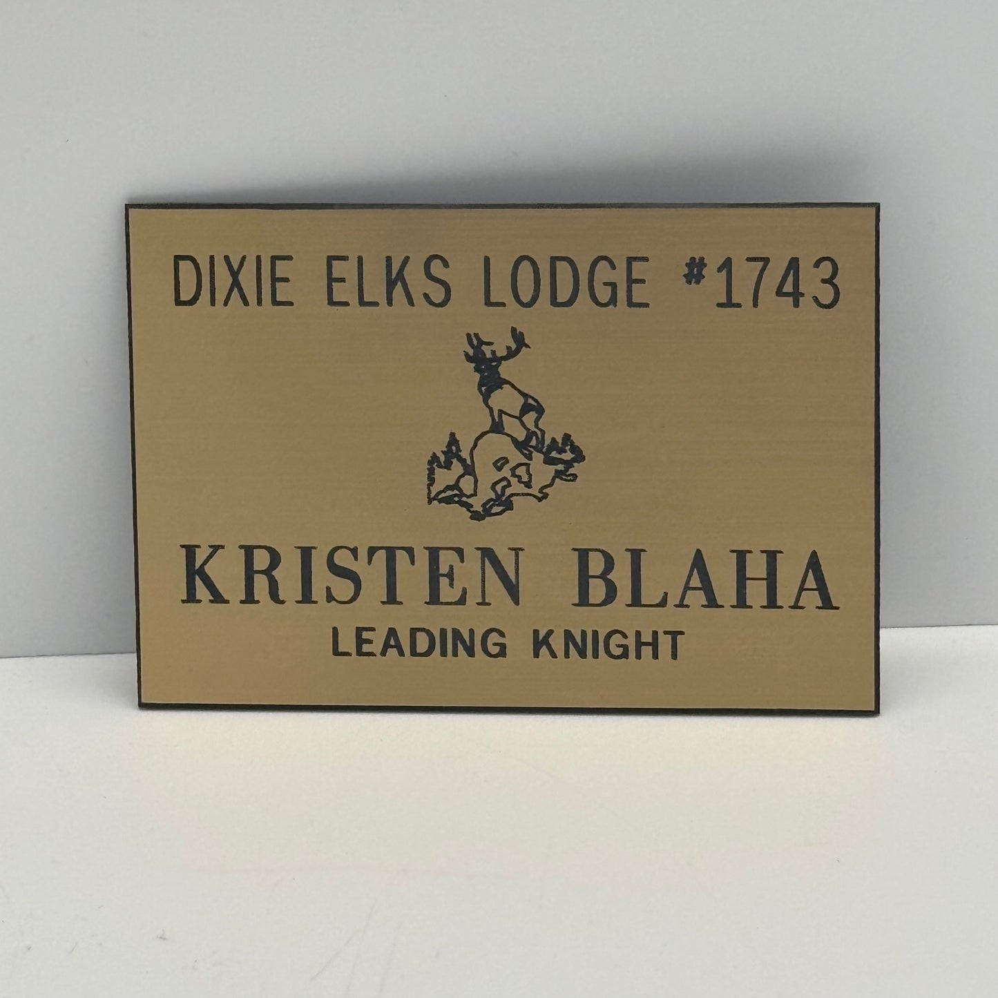 Brushed Gold (Black Engraving) Plastic Name Badge
